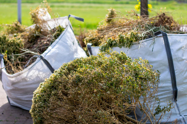 Best Dumpster Rental Services  in Westwood, KY